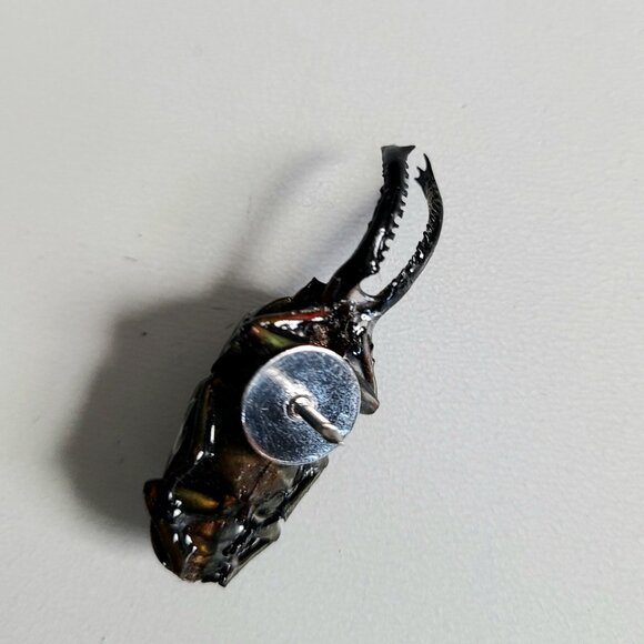 Vintage realistic looking green scarab pin. Bug unisex pin. - Picture 6 of 10